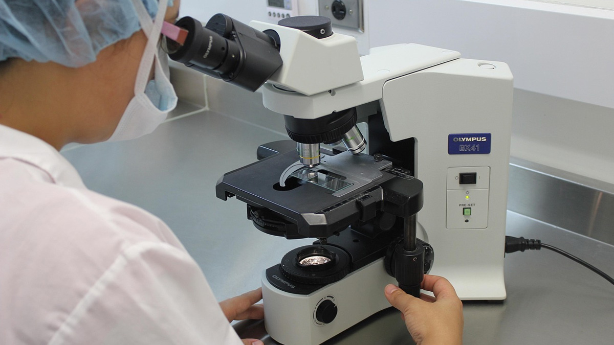 Navigating the FDA Approval Journey: Ensuring Safety and Efficacy in Medicine